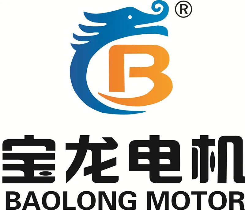 常州宝龙电机股份有限公司